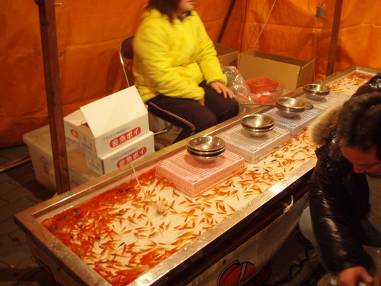 昔からある・・・金魚すくい