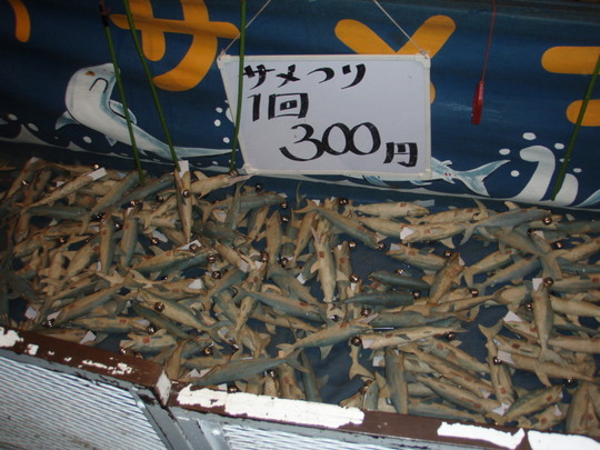 初めて見た・・・さめつり