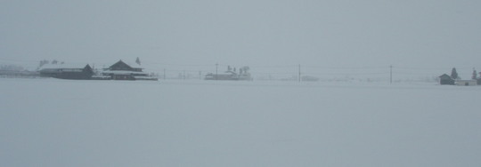 向かう先は白一色です