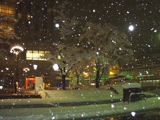 大きな粒の雪の結晶がしんしんと降り積もっていました。