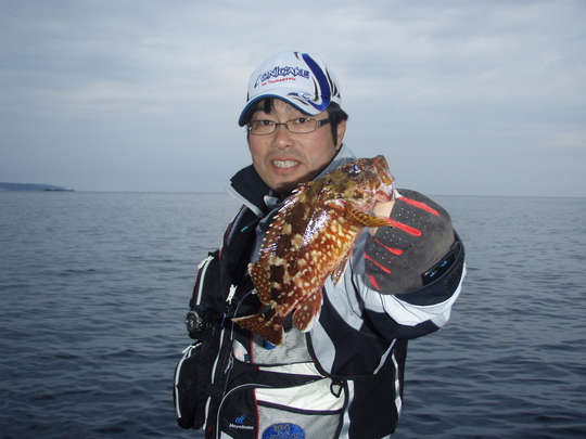 »ä¤Ï¤³¤ó¤Ê¥¬¥·¥é¤ä¤é¡¢