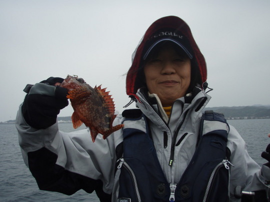 ¥«¥ß¥µ¥ó¤â¥¬¥·¥é¡£