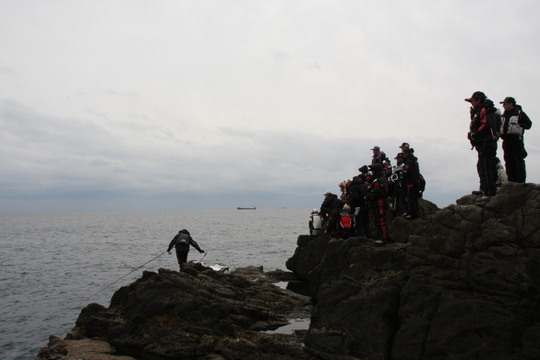 多くのギャラリーが見守る