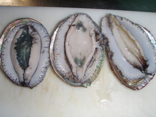 超豪華!!活、アワビ