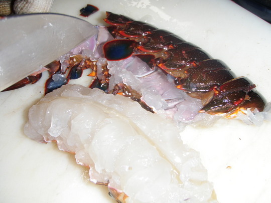 ごめんね。これからお刺身になるところです。