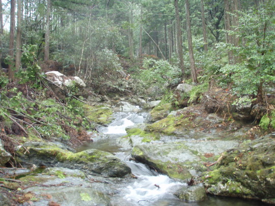 深い山合いの沢、心が洗われます。