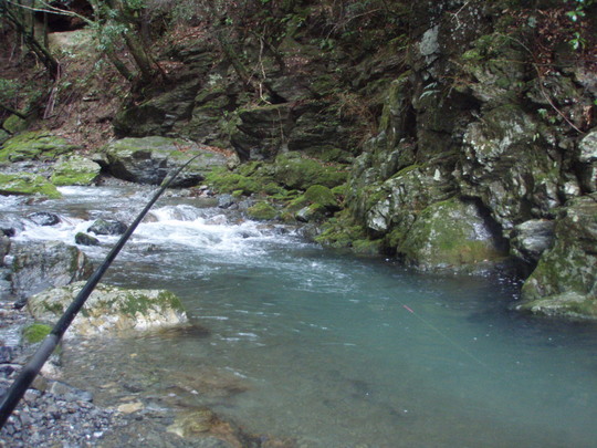 S川に入りました。