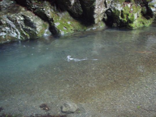 雰囲気がいいですね〜