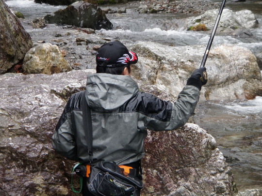 ¥¢¥Þ¥´¡£5·î¤«¤é¤ÏÌӤФê¤â¤ä¤Ã¤Æ¤ß¤¿¤¤¤Ç¤¹¡£