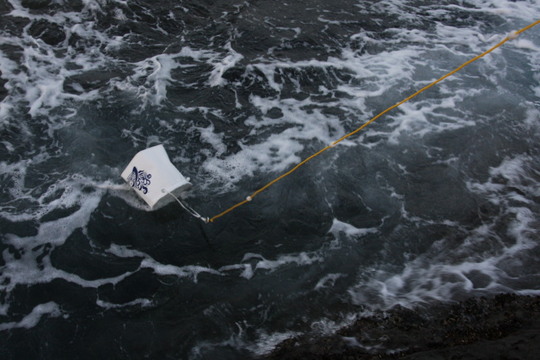 水面に投げ入れるとパこっと口を開いて傾きます