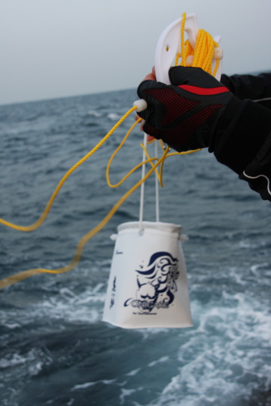 面白いアイデアです。