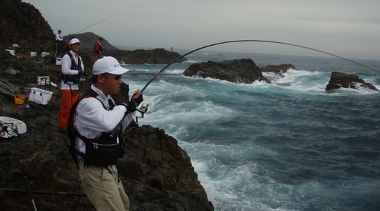 西サン…青物?・・どうもスマセン。