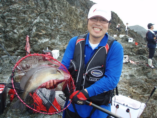 はい〜っ。私にもこコロダイが来ました。