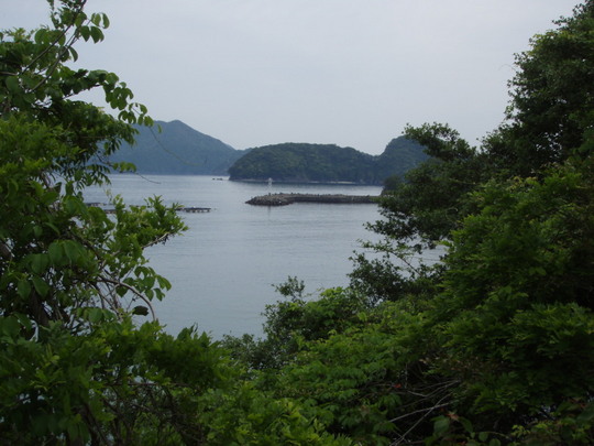 美しい尾鷲の湾内