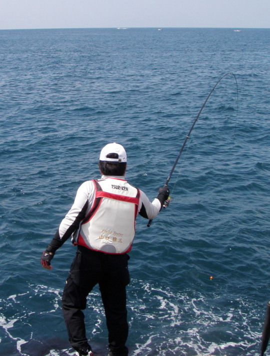 私はフグは掛からず、ほれ、きっちりグレじゃ。