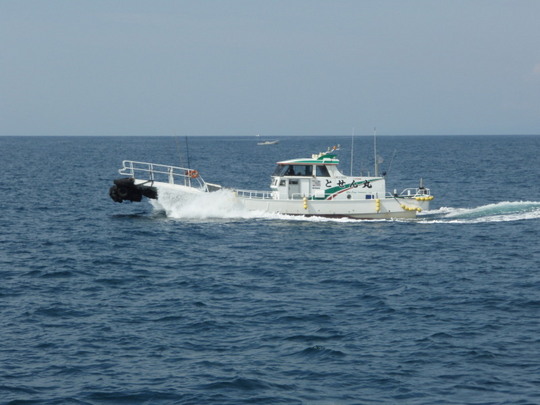 お世話になってます とせん丸