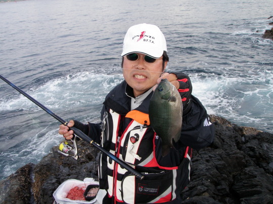 こういうのがもっと釣れるはず・・。