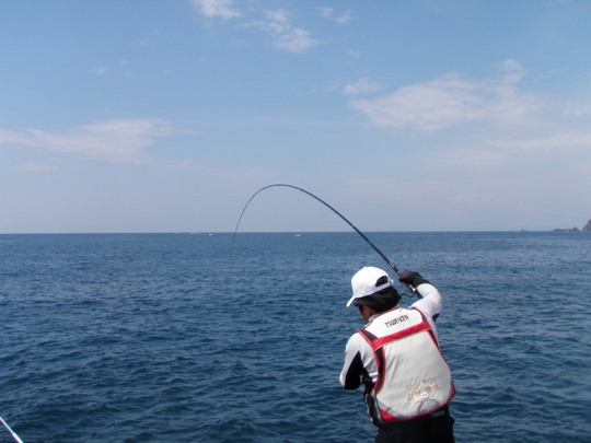 朝のうちはやや気温も高く・・竿も好調に曲がりました。
