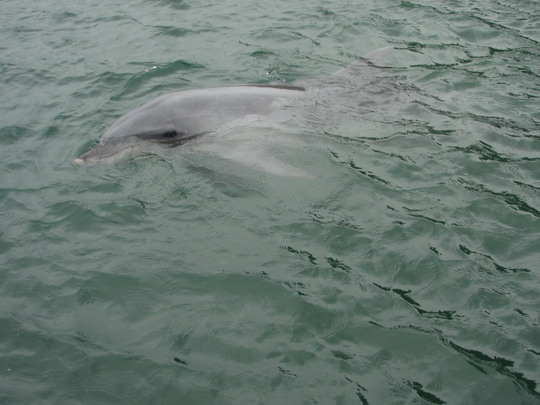 目を見て判断するのでしょうか