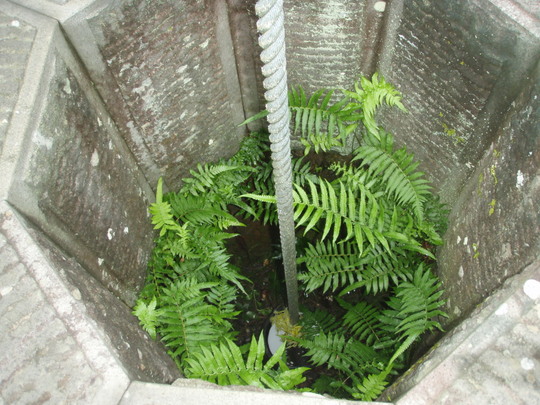 井戸です。ちょっとした大きな家庭にはありました。50歳以上の方懐かしいでしょう。