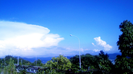 今年は梅雨明け後からの高気温に悩まされています