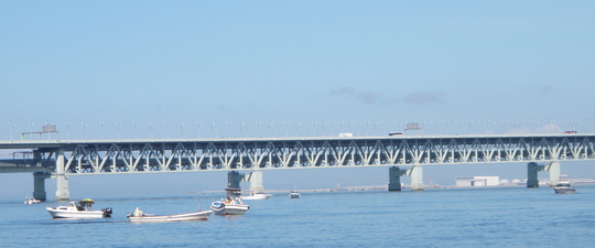 周辺にはたくさんの船が出ています