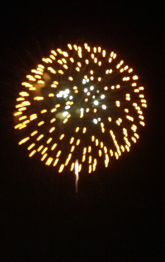 きれいですね(次は三脚を持っていきます)