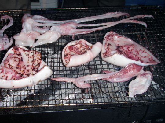 プリップリの剣先イカもいただきました