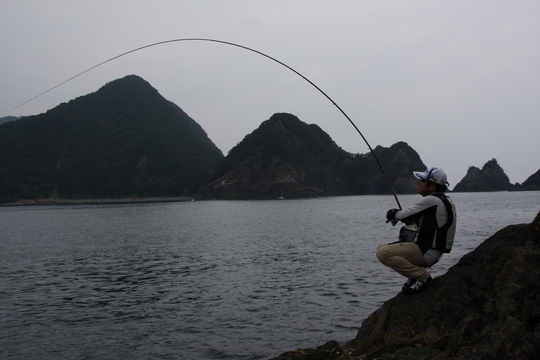 ¡Ö¡¦¡¦¡¦¡¦¡¦¡¦¶¯Îõ¡¦¡¦¡¦¡¦¡¦¡×