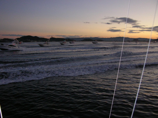 一斉に南下します