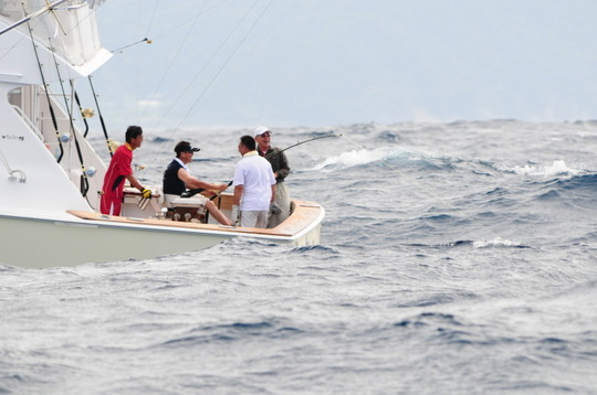 長い格闘が始まります
