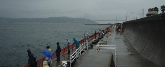 ¤³¤ÎÅ·µ¤¤Ç¤¹¤¬¿Íµ¤¤Î¹â¤µ¤¬¤¦¤«¤¬¤¨¤Þ¤¹¡£