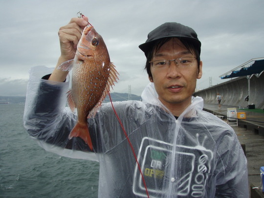 ¤³¤³¤ÏÉáÄ̤ˤ³¤ó¤Ê¤óÄà¤ì¤Þ¤¹¤è¡£¤ª¤Ã¤Á¤ã¤ó¤Î³Ú¤·¤á¤Þ¤¹¡£