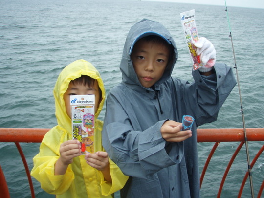 ¥Ï¥ä¥Ö¥µ¤Î»Å³Ý¤±¤Ç´èÄ¥¤Ã¤Æ¤¤¤Þ¤Á¤å