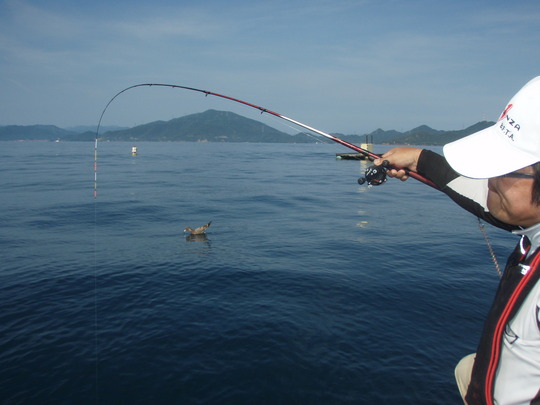 Ä˲÷¤Ê¥¢¥¿¥ê¤¬¤¢¤Ã¤Æ¡¦¡¦´È¤¬¤·¤Ê¤ê¤Þ¤¹¡£