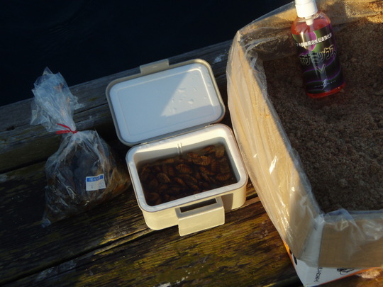 ¤³¤ÎÆü¤Î¥á¡¼¥ó¤Ï´Ý³¤È¤µ¤Ê¤®¤Ç¤¹¡£