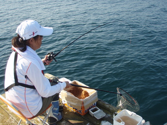 ¤ª¤ª¡ª¤¤¤¤¥¢¥¿¥ê¤ò¤È¤é¤¨¤Þ¤·¤¿¡£