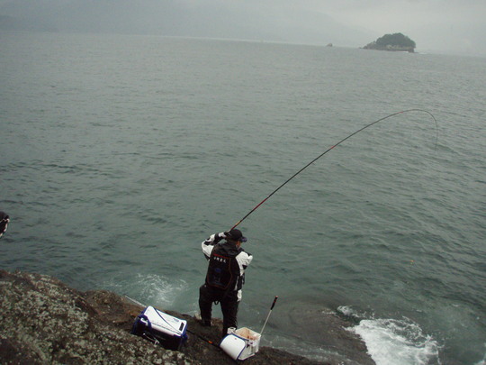 ÇòÇ®¤·¤¿»î¹ç¡£¶ÛÄ¥¤¬¤¹¤Ù¤Æ¤òÊñ¤à¡£