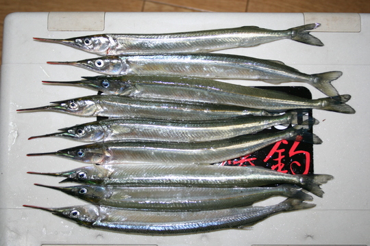 ¥¨¥ó¥Ô¥Ä¥µ¥è¥ê¤Ï¤¤¤Þ¤»¤ó¤Ç¤·¤¿¤è