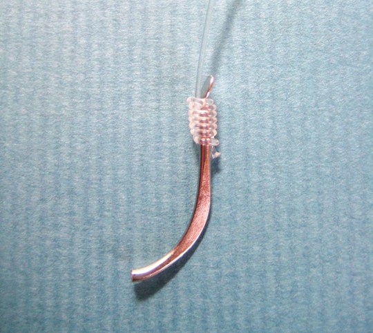 Ê¿ÂǤÁ¤Î¥Ï¥ê¤¬¡¢¸«»ö¤³¤ó¤Ê¾õÂ֤ˤʤê¤Þ¤¹