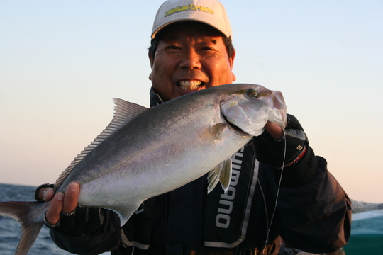 Ï²λ³¤Î¥Á¥ç¥¯¥ê¤Ç¤Ï¡¢¥«¥ó¥Ñ¥Á¤¬¤è¤¯¤«¤«¤ê¤Þ¤¹