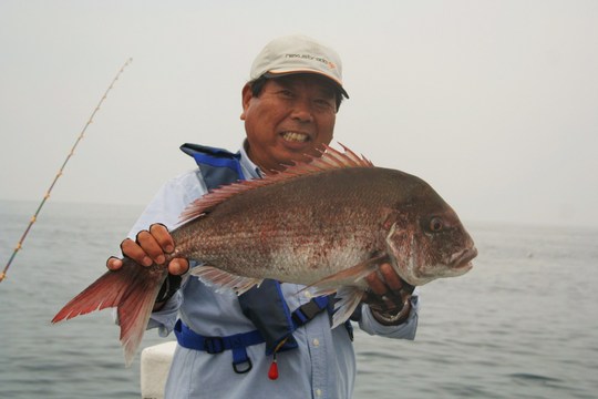 ¥¤¥ï¥·¤Î¥¨¥µ¤À¤È¡¢¤³¤ó¤Ê¥Þ¥À¥¤¤âÍè¤Þ¤¹