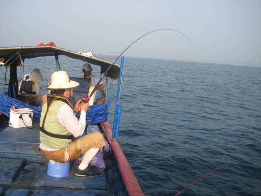 ÆüËÜ¥Á¡¼¥à¤ÎµÈÅĤµ¤ó¤Î´È¤¬¶Ê¤¬¤Ã¤Æ¤¤¤Þ¤¹