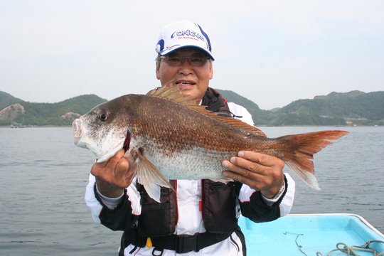 2009年6月26日、徳島県鳴門市堂浦で
