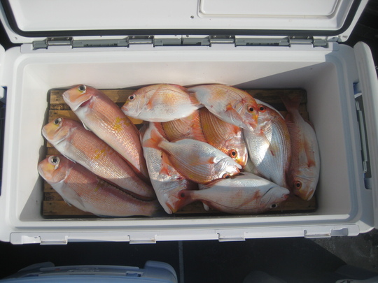 ¤³¤ì¤ÏÅÓÃæ·Ð²á¡£¤³¤Î¸å¡¢¥°¥¸¤È¥ì¥ó¥³¤¬¡Ä