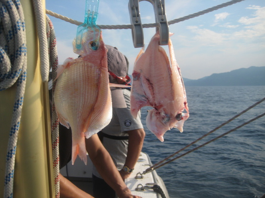 ¶áÆ£¤µ¤ó¤¬¥ì¥ó¥³¤ÎÉ÷´³¤·¤òºî¤Ã¤Æ¤¯¤ì¤Þ¤·¤¿