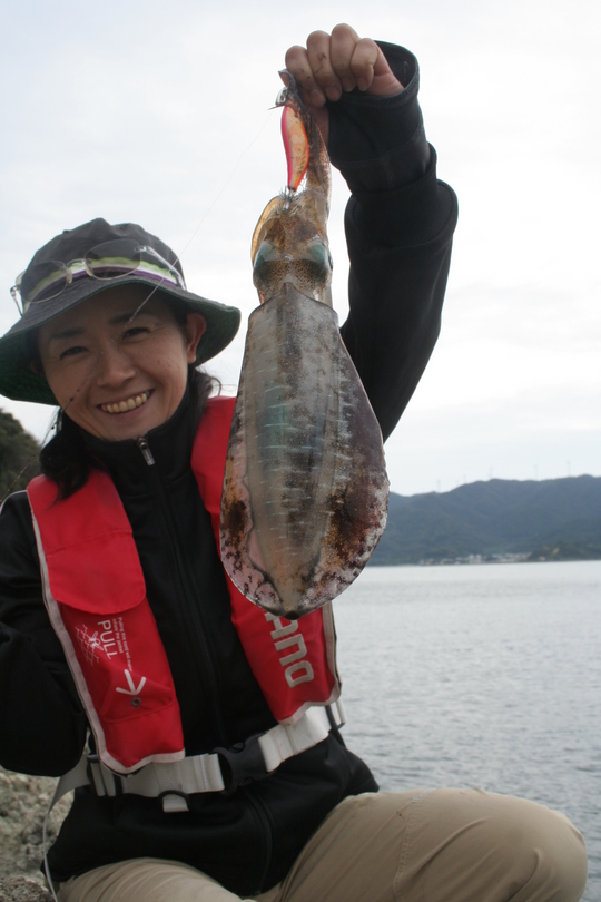 こんな良型から