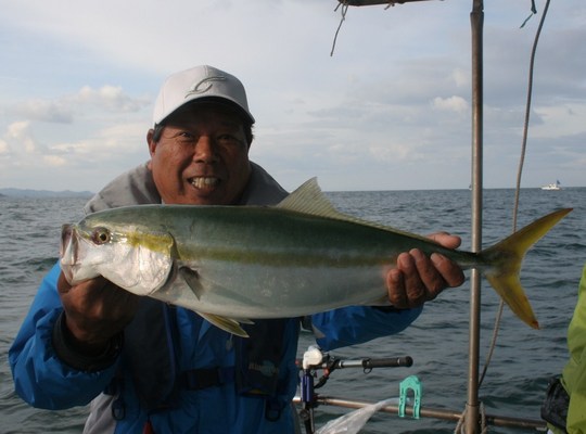 £¶£´Ñ¤Î¥á¥¸¥í¡£º£¤Î»þ´ü¤Ë¤·¤Æ¤Ï¡¢³ä¹çÂÀ¤Ã¤Æ¤¤¤Þ¤·¤¿¤è¡£¤À¤«¤éÈþÌ£¤·¤«¤Ã¤¿