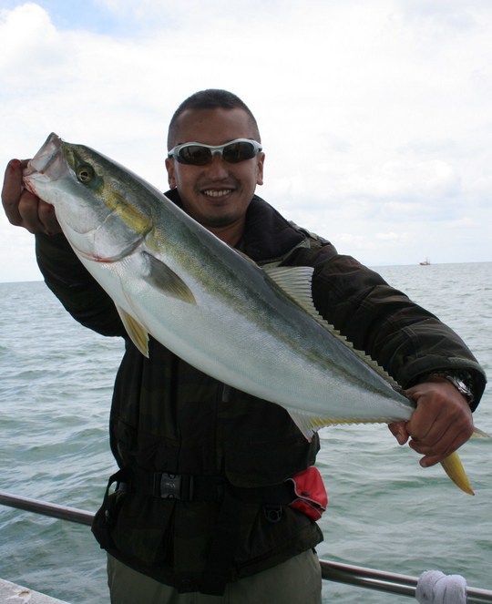 ¤³¤Î¥á¥¸¥í¤Ï¾¯¤··¿¤¬¤è¤¯¤Æ¡¢£·£°Ñ¤Ï¤¢¤Ã¤¿¤Î¤Ç¤Ï¡Äº£Æü°ì¤ÎÎÉ·¿¤À¤Ã¤¿