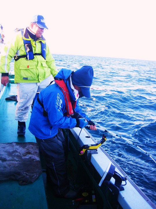 ¤³¤ì¤Ï¤«¤Ê¤ê¤ÎÂçʪ¤Ç¤¹¡£²¿ÅÙ¤â´È¤ò¤Î¤µ¤ì¤«¤±¤Þ¤·¤¿